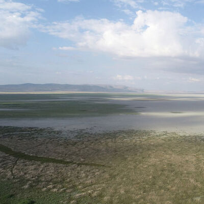 Nasreddin Hoca maya çalmıştı, şimdi çöle döndü!