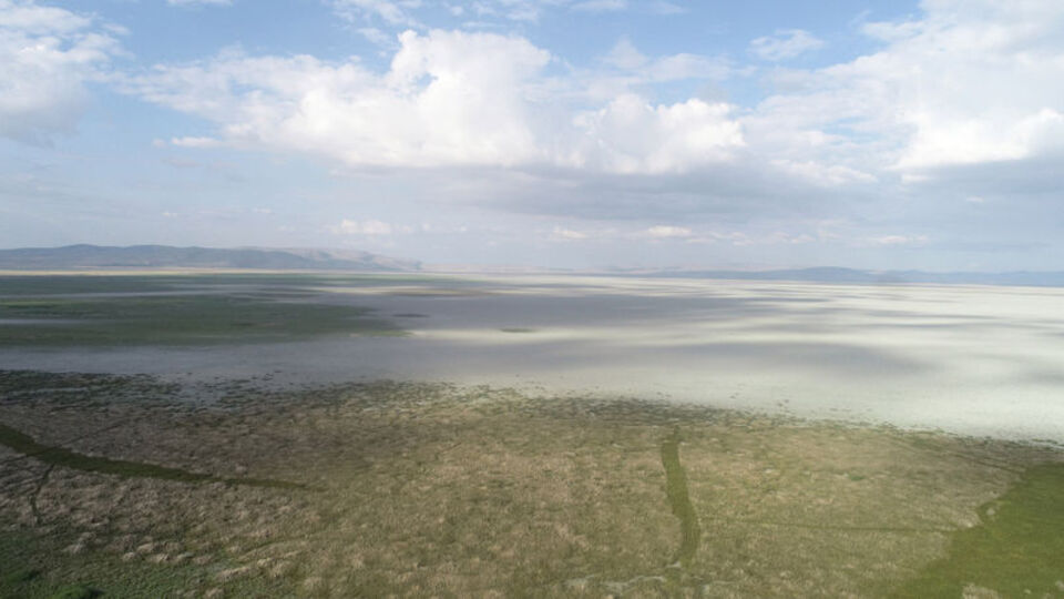 Nasreddin Hoca maya çalmıştı, şimdi çöle döndü!