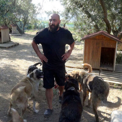 Kimi tecavüze uğramış kimi demir sopalarla dövülmüş!