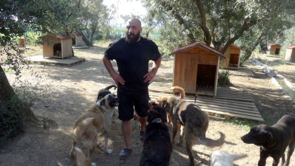 Kimi tecavüze uğramış kimi demir sopalarla dövülmüş!