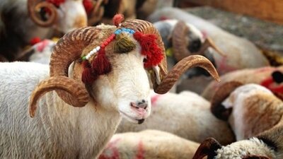 Arefe günü resmi tatil mi?