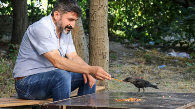 Beslediği karga gözünü oymadı!