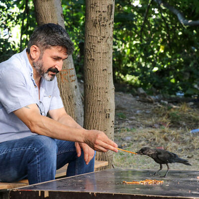 Beslediği karga gözünü oymadı!