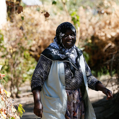 Kökenleri Afrika'dan, şiveleri Ege'den... Araştırmalara konu oldu
