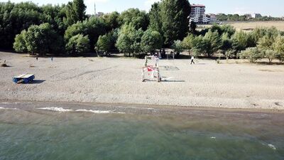 Yeni evlenen çiftlerin doğal stüdyosu