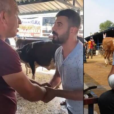 'Yok artık' dedirten pazarlık: Kolu çatladı