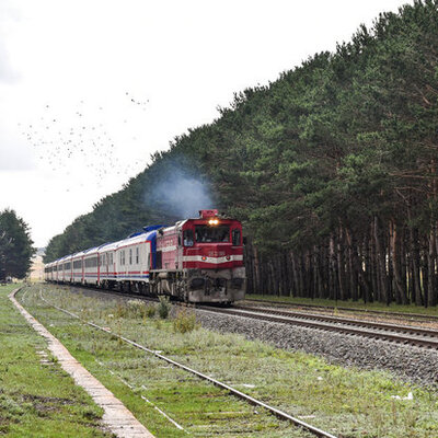 25 saatlik masalsı yolculuk