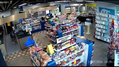 Biri markete biri trafiğin ortasına daldı