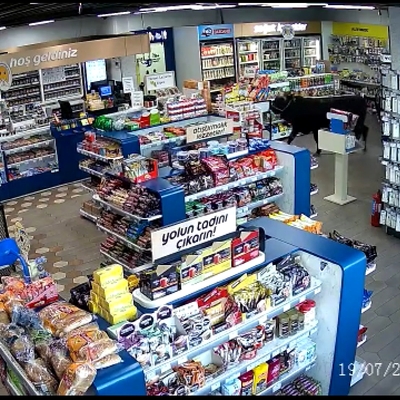 Biri markete biri trafiğin ortasına daldı