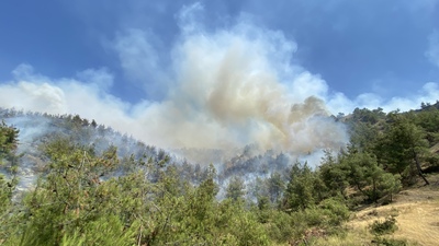 Kahramanmaraş'ta orman yangını çıktı!