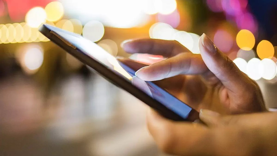 Türkiye'de hangisinin payı ne kadar?