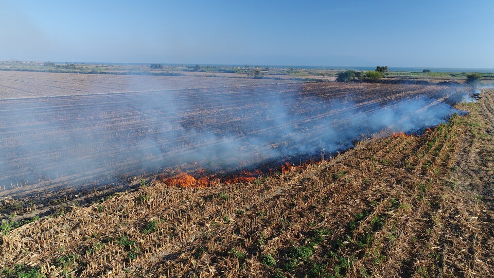 TZOB'dan 'anız' uyarısı