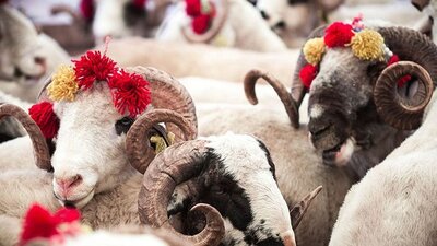 Kurban Bayramı tatili ne zaman bitiyor?