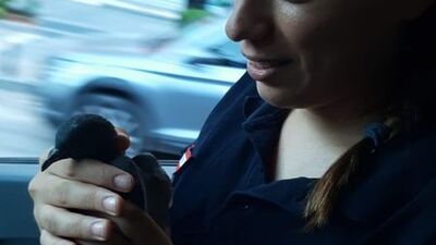 Bakan Koca'nın paylaştığı güvercini tedavi eden 112 sağlık ekibi konuştu