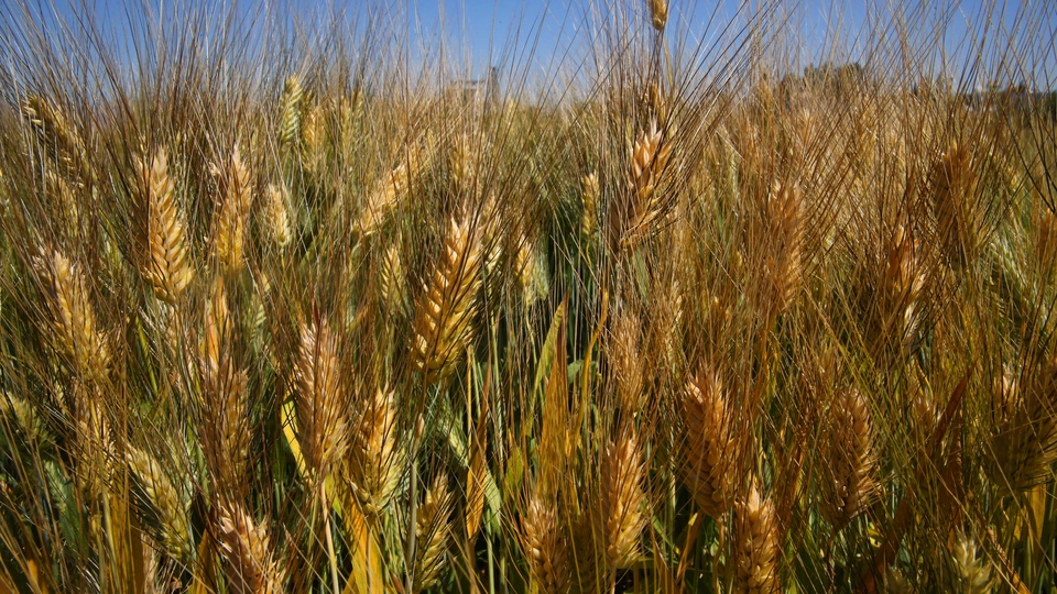 Hedef 10 milyar TL kredi