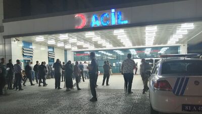 Düzce'de 3 kardeşin arazi kavgası kanlı bitti: 2 kardeşini öldürdü