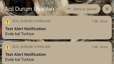 Test Alert Notification nedir?