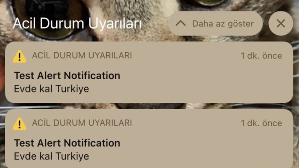 Test Alert Notification nedir?