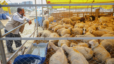 3.7 milyon kurbanlık satıldı