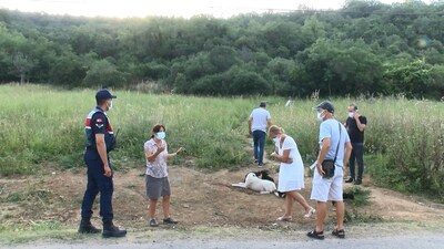 Yavru köpeği diri diri yaktılar!
