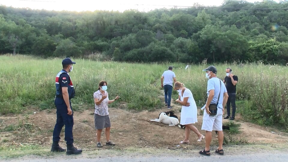 Yavru köpeği diri diri yaktılar!