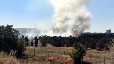 Atatürk Orman Çiftliği'nde yangın! 1 kişi gözaltında