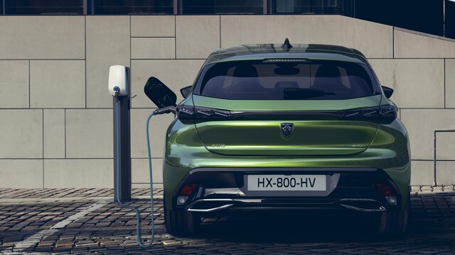 Fransız aslandan elektriğe yeşil ışık