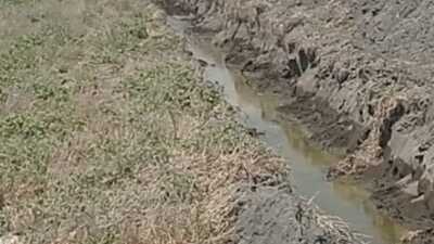 Kuş cennetine hendek kazdılar!