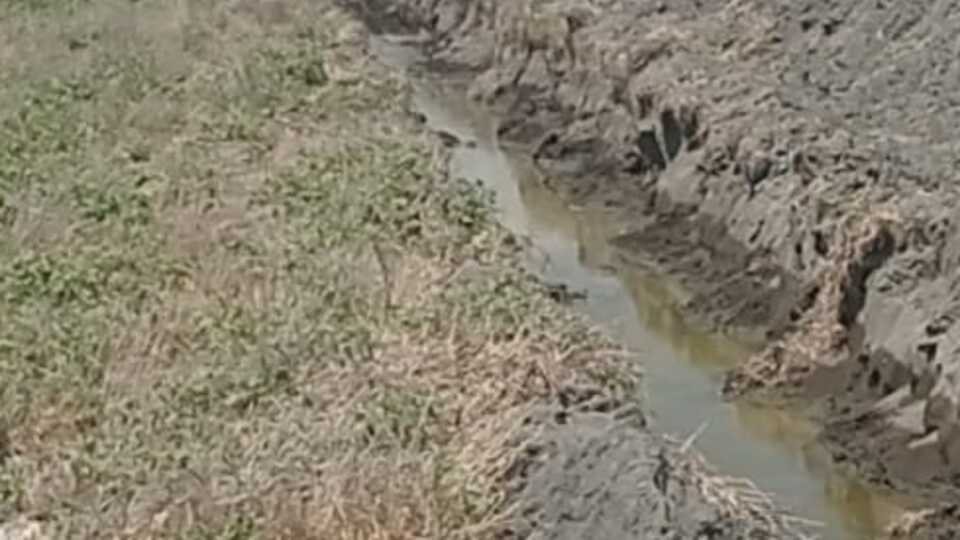 Kuş cennetine hendek kazdılar!