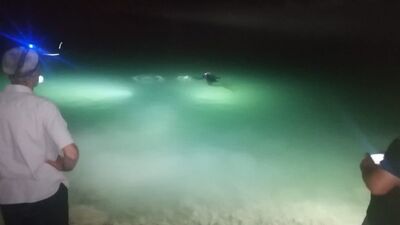 Erzincan'da baraj gölüne düşen genç öldü