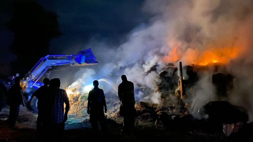 Bandırma'da çiftlik yangını: 20 kuzu öldü