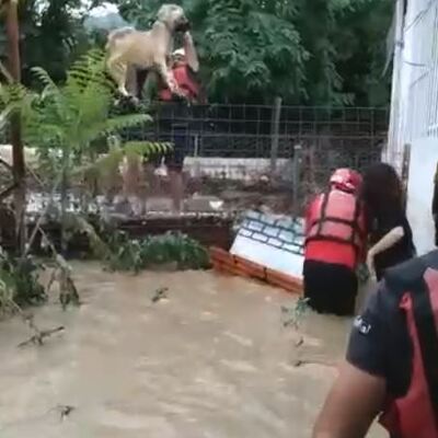 Can dostlar için seferberlik!