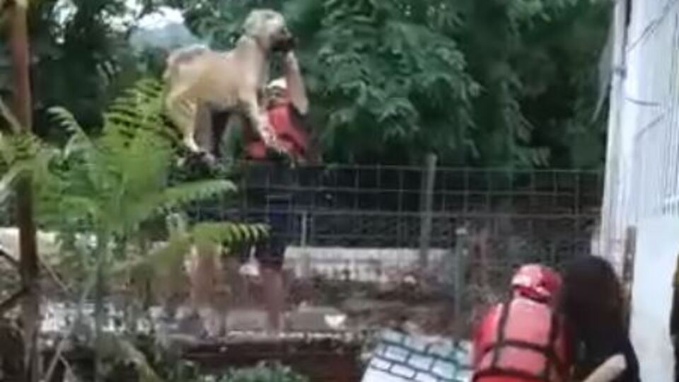 Can dostlar için seferberlik!