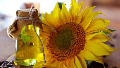 Ayçiçeği yağı fiyatında düşüş bekleniyor