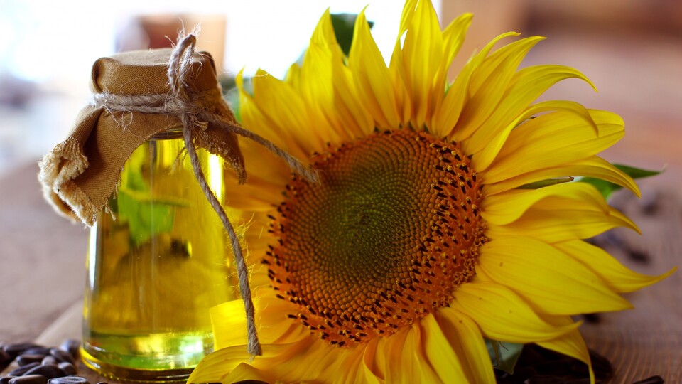 Ayçiçeği yağı fiyatında düşüş bekleniyor