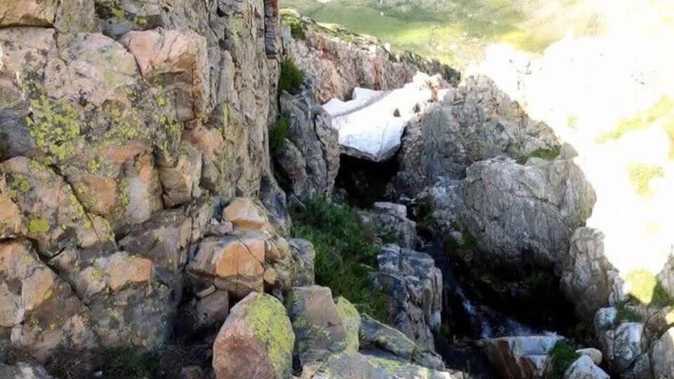 Yazın ortasında tespit edildi