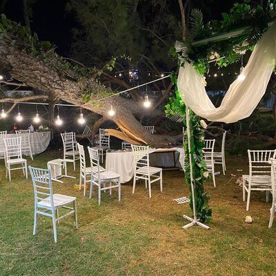 Kır düğününde ağaç devrildi: 1 ölü, 9 yaralı