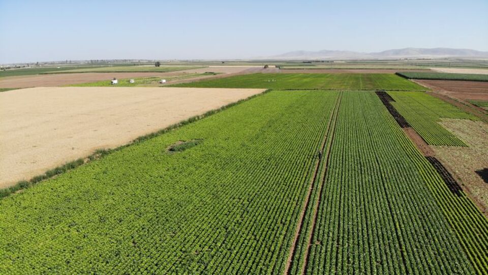 KOP Bölgesi'ne 10 yılda 2 milyar destek