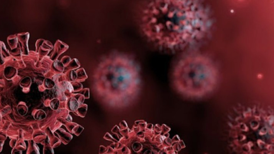 Hindistan'dan ithal edilen etlerde koronavirüs tespit edildi