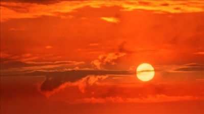 Japonya'da aşırı sıcaklar can aldı!