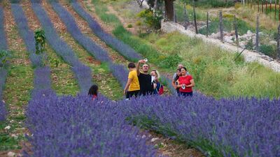 Görsel şölen sunuyor... Binlerce kişiyi ağırladı