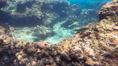 1998'deki depremle oluşmuştu... Görüntülendi