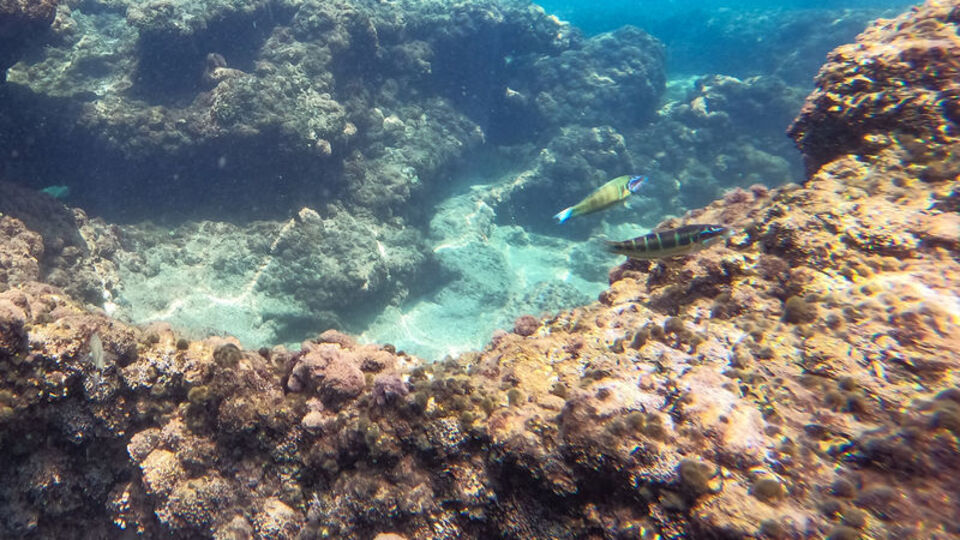 1998'deki depremle oluşmuştu... Görüntülendi