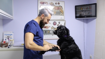 2021 YKS Veterinerlik taban puanları!