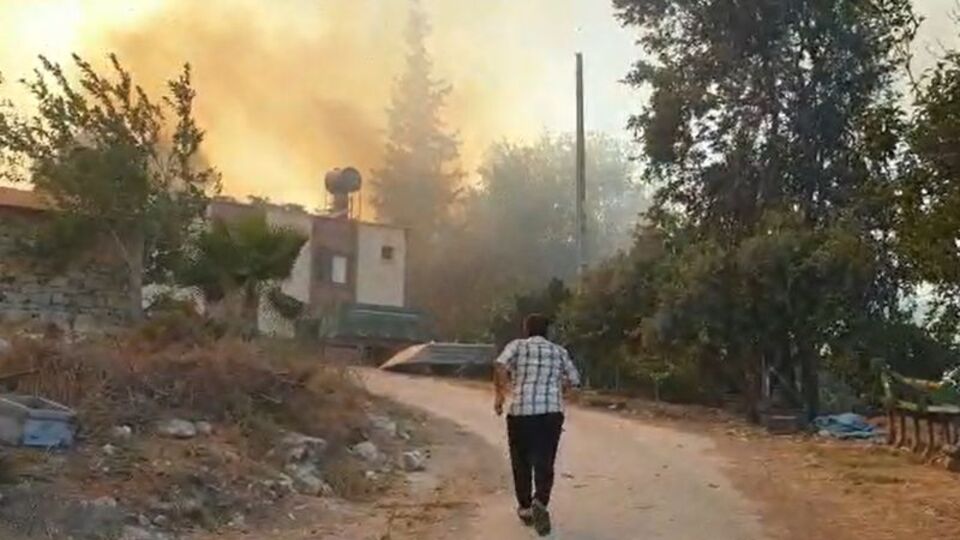 Osmaniye'de de orman yangını