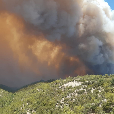 Manavgat'ta ormanlık alanda yangın!