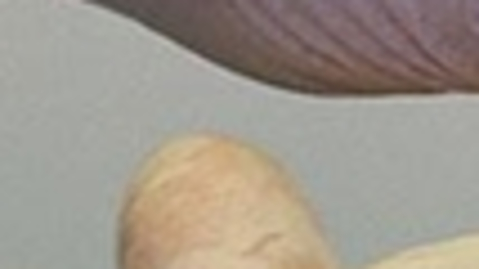 Fransa'da 12-17 yaş için Moderna aşısı onaylandı