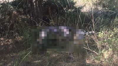 Kayıp yaşlı adam ölü bulundu