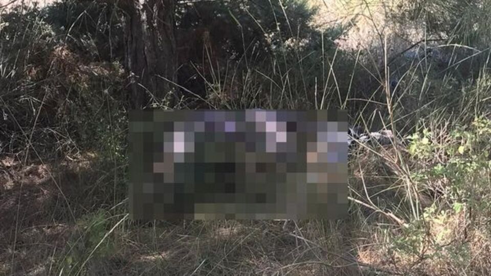 Kayıp yaşlı adam ölü bulundu