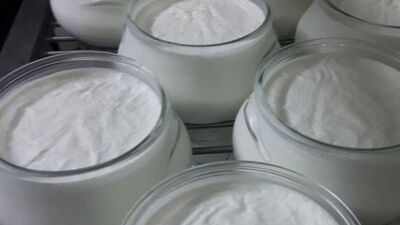 Afyon manda yoğurdu tescillendi